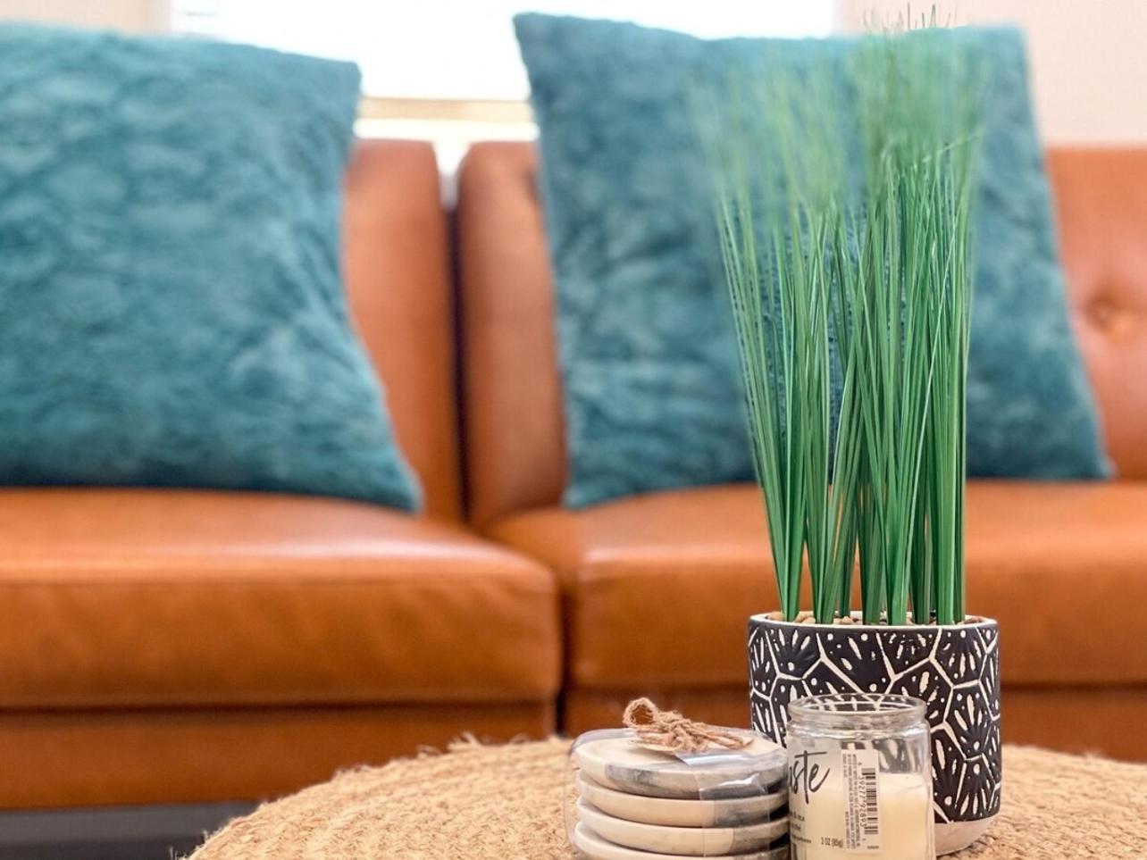 Homey Cozy Newly Renovated Stylish&Chic 7 Guests タンパ エクステリア 写真