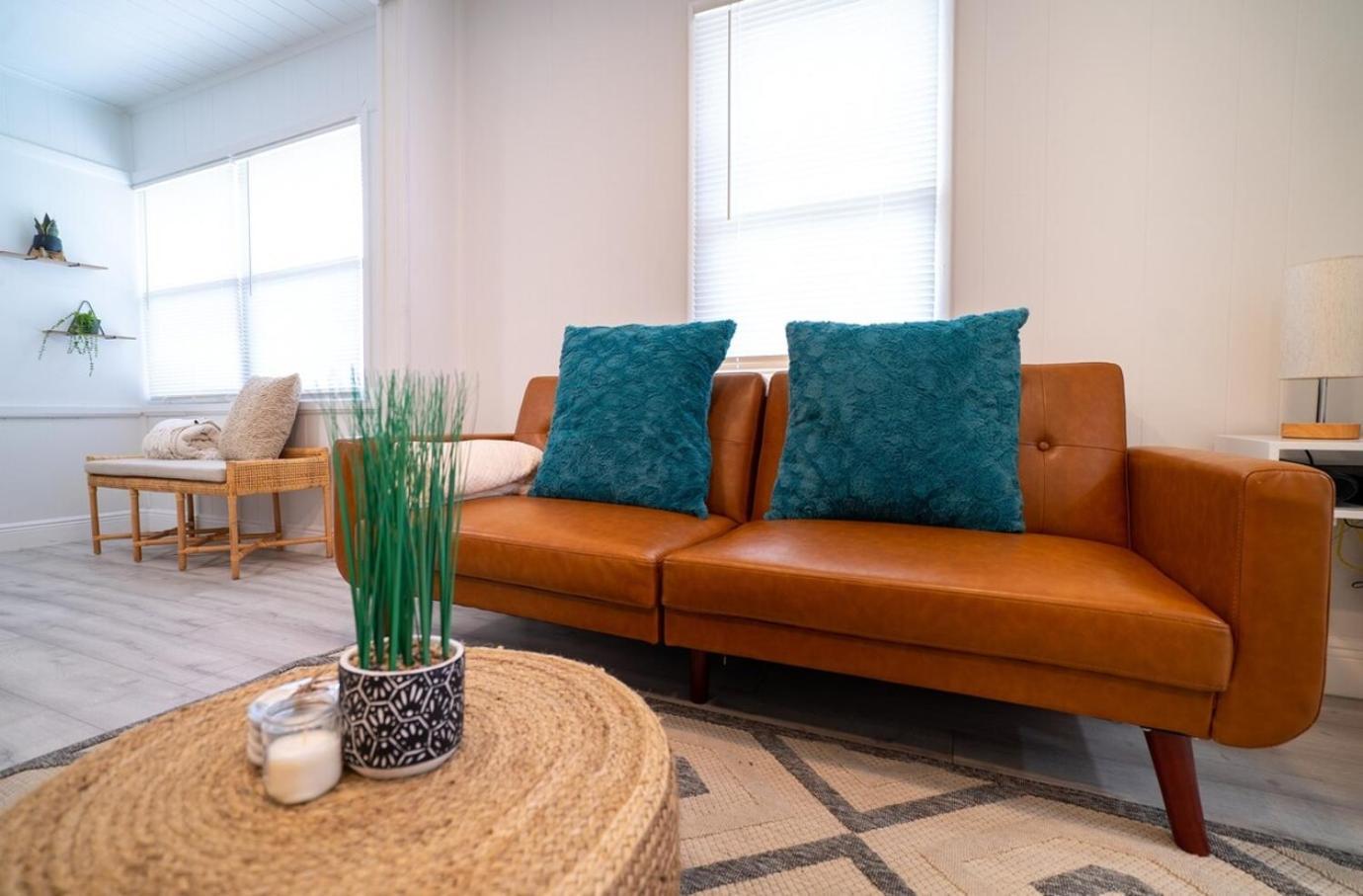 Homey Cozy Newly Renovated Stylish&Chic 7 Guests タンパ エクステリア 写真