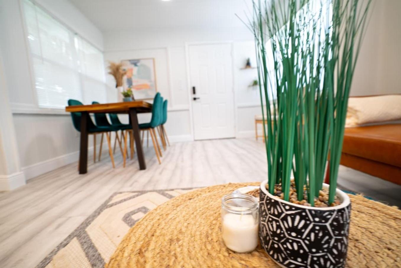 Homey Cozy Newly Renovated Stylish&Chic 7 Guests タンパ エクステリア 写真